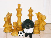 24 inch Wooden Chess Set
